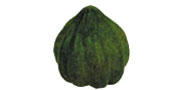 Acorn Squash 1EA product image