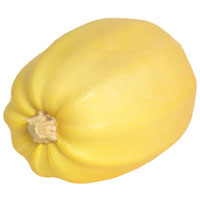 Spaghetti Squash 1EA product image