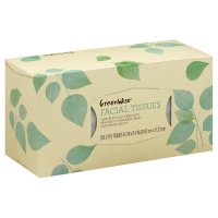 Store Brand Facial Tissue Recycled 200CT product image