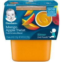Gerber 2nd Foods Mango Apple Twist 4oz 2PK product image