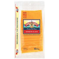 Land O Lakes Sliced American Yellow Cheese Deli Thin 10CT 8oz PKG product image