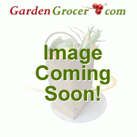 Microwaveable Sweet Potato 8oz product image