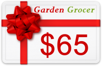 Gift Certificate $65 product image