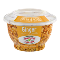 Gourmet Garden Ginger Lightly Dried 0.78oz Tub product image