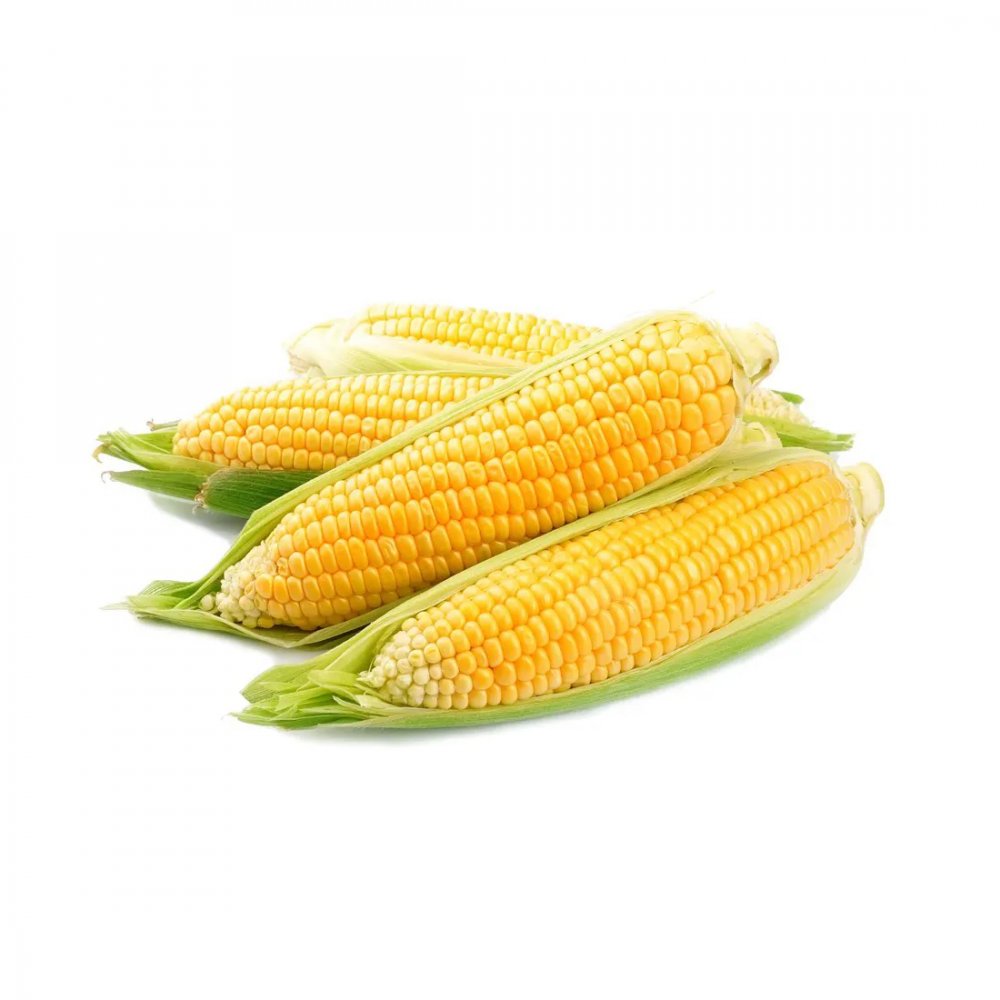 Fresh Corn Yellow 4 Ear PKG