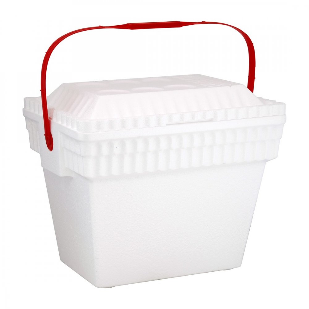 Lifoam Styrofoam Cooler 22QT Holds 24Cans or 2 Gallons of Milk Plain