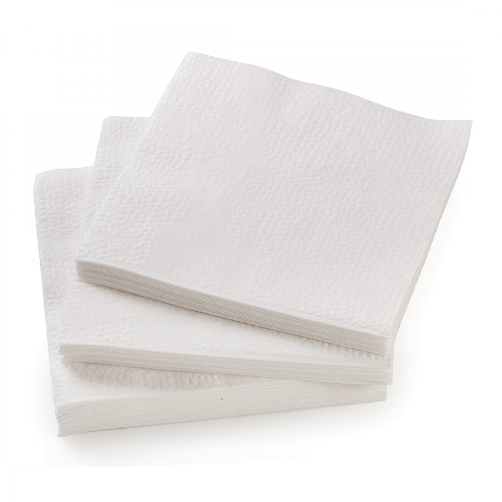 Store Brand 1 PLY Paper Napkins 250CT